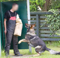 Schutzhund